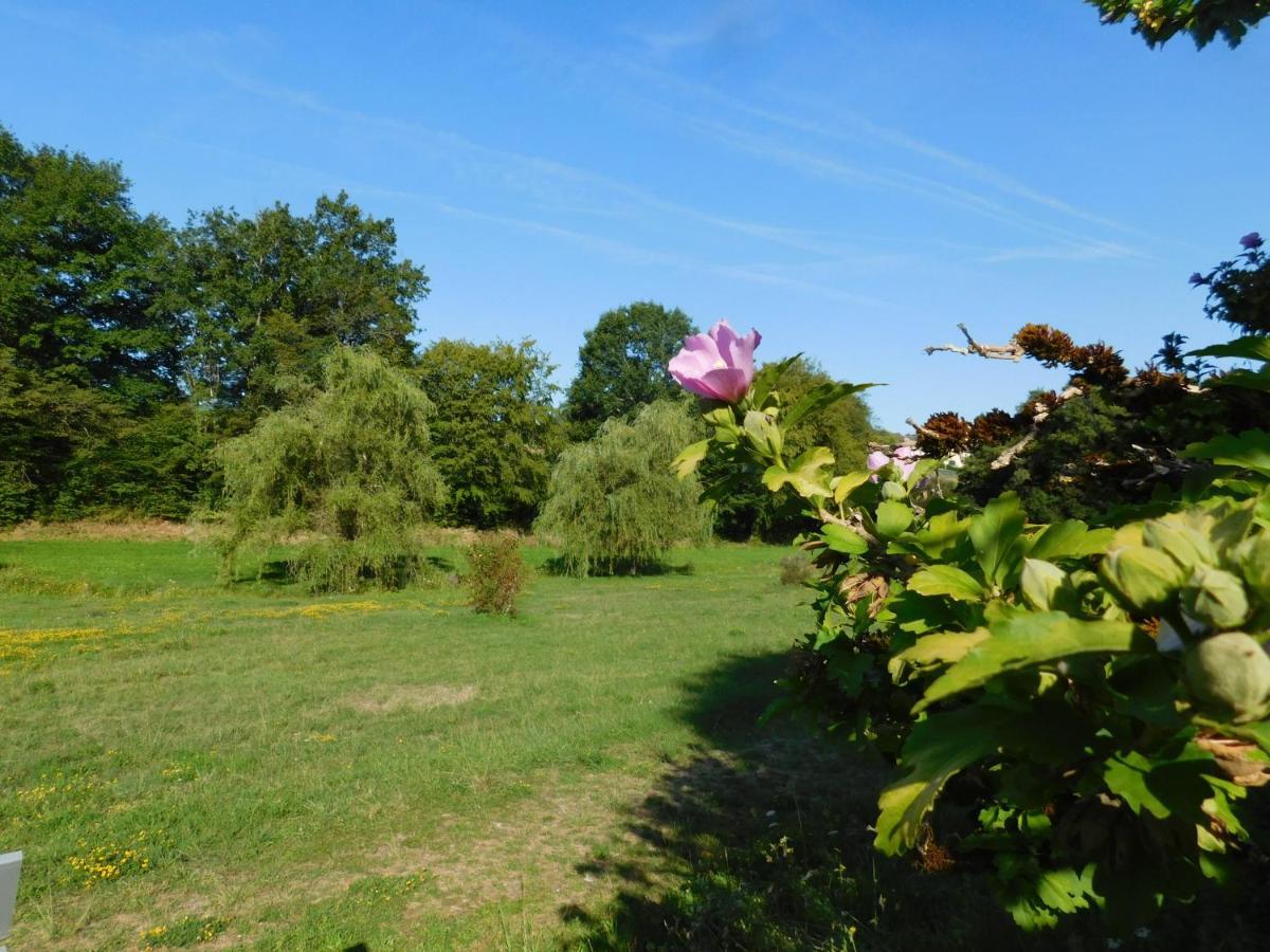 Du Coq A L'Ame Bed & Breakfast Naves  Exterior photo
